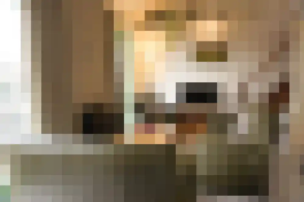 Strandslag 245 Julianadorp thumbnail 5