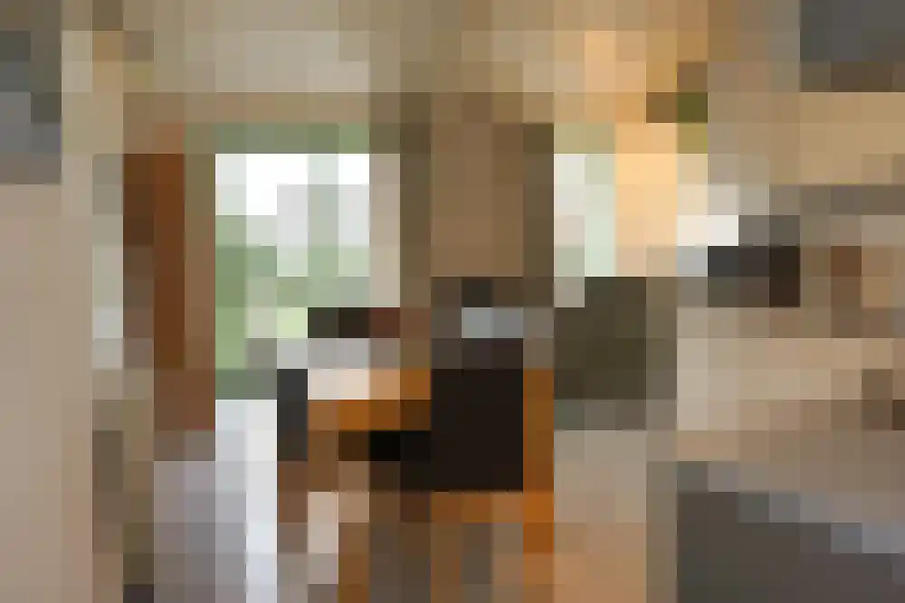 Strandslag 245 Julianadorp thumbnail 6