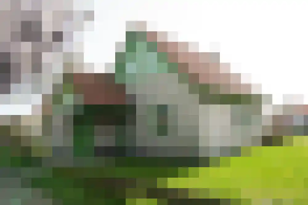 Strandslag 276 Julianadorp thumbnail 19