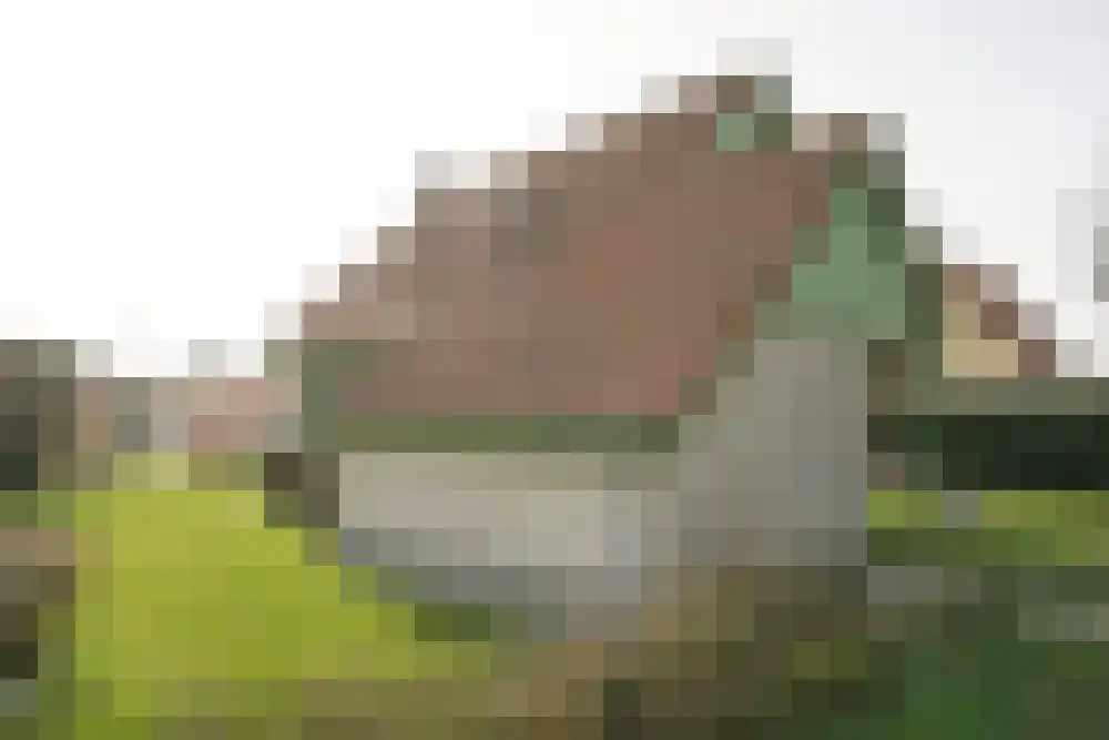 Strandslag 276 Julianadorp thumbnail 26