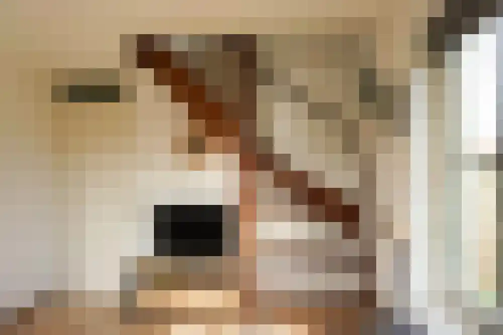 Strandslag 276 Julianadorp thumbnail 7