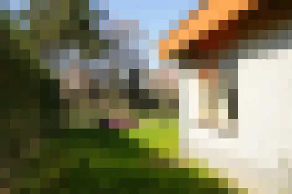 Strandslag 318 Julianadorp thumbnail 18