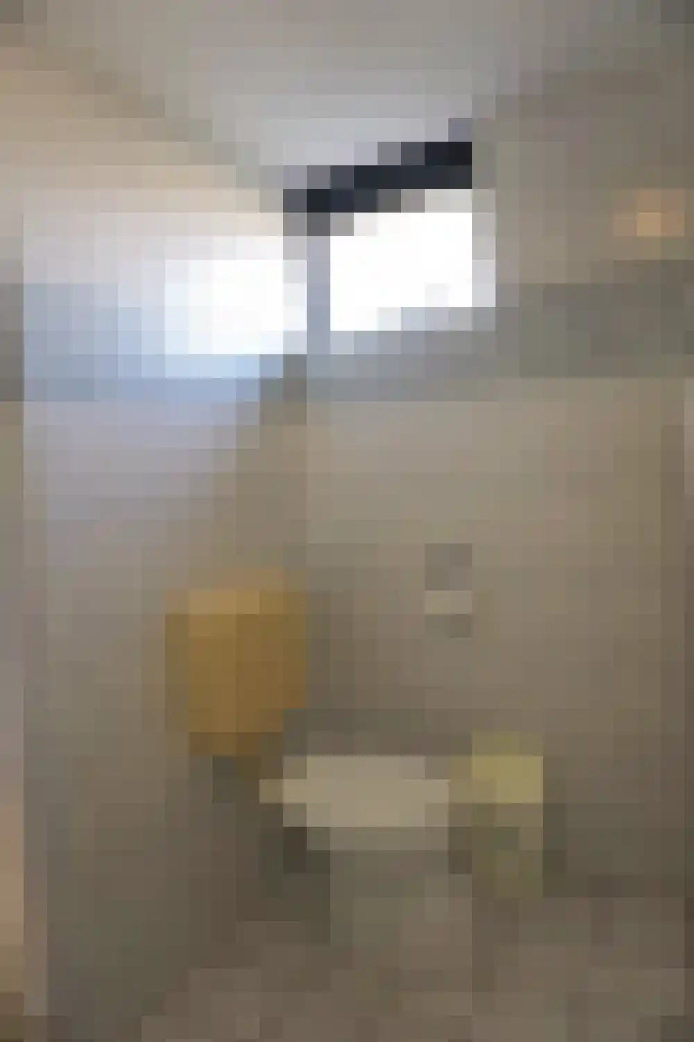 Strandslag 339 Julianadorp thumbnail 20