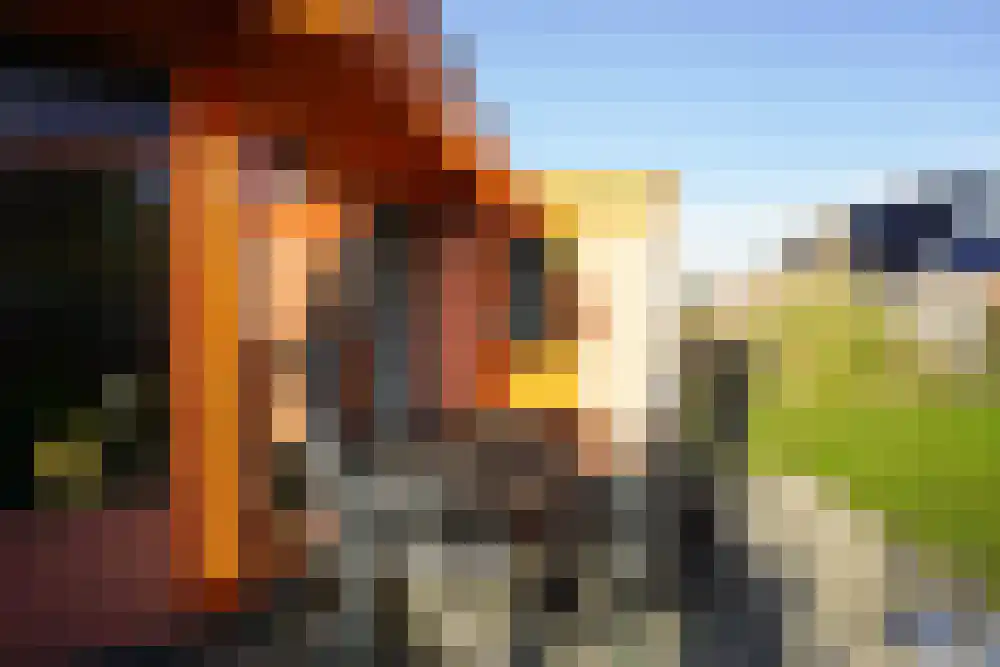 Strandslag 339 Julianadorp thumbnail 25