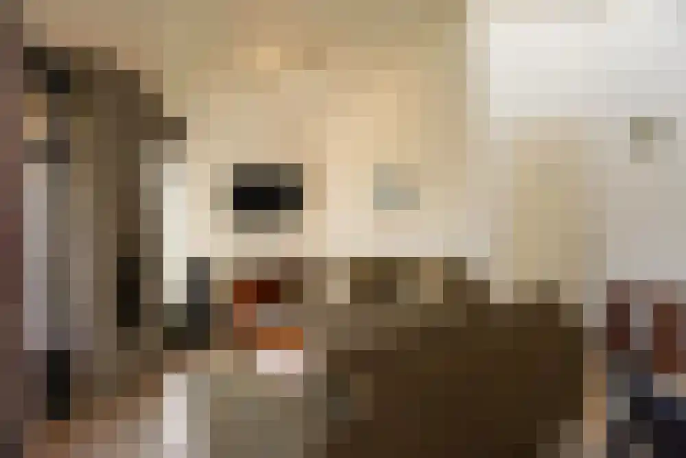 Strandslag 339 Julianadorp thumbnail 4