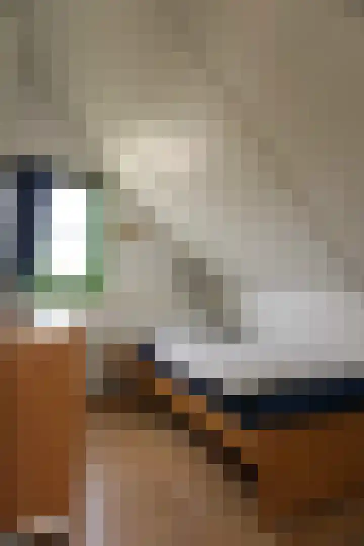 Strandslag 39 Julianadorp thumbnail 15