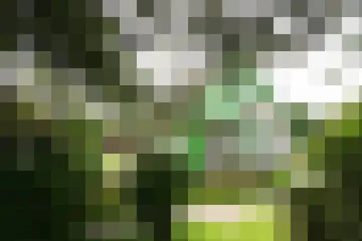 Strandslag 39 Julianadorp thumbnail 17