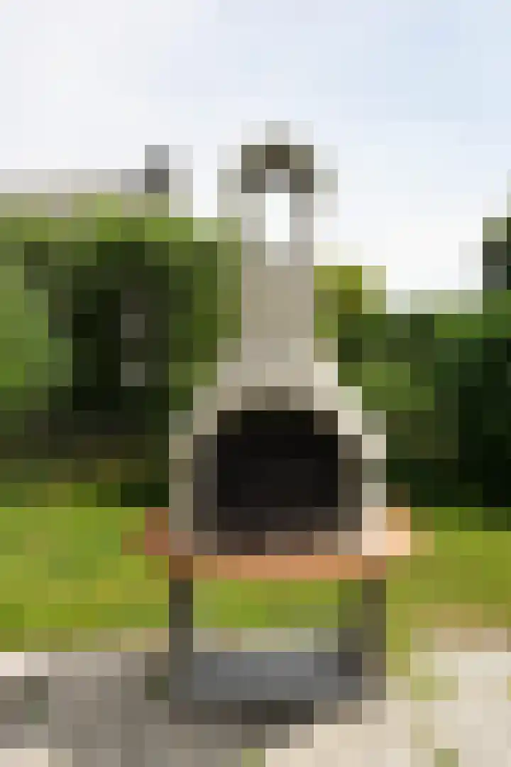 Strandslag 39 Julianadorp thumbnail 19