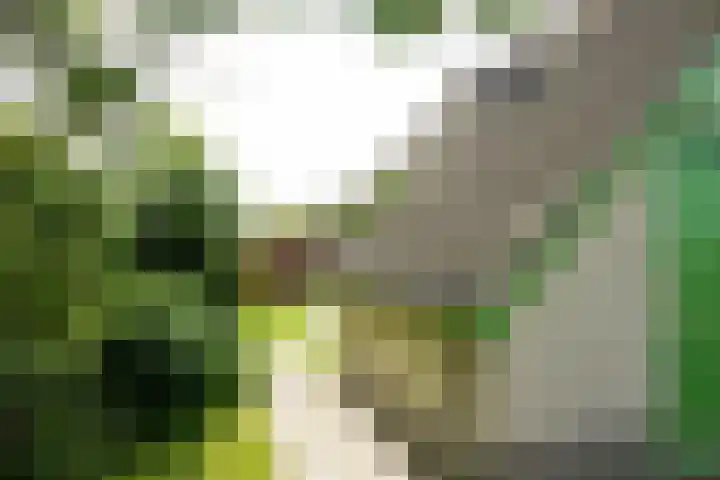 Strandslag 39 Julianadorp thumbnail 21