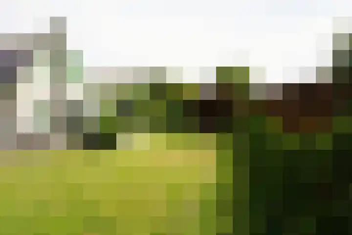 Strandslag 39 Julianadorp thumbnail 22