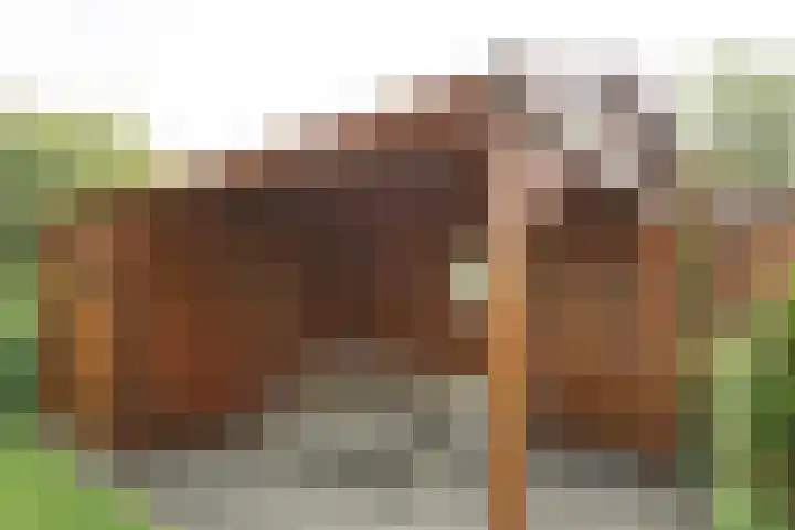 Strandslag 39 Julianadorp thumbnail 23