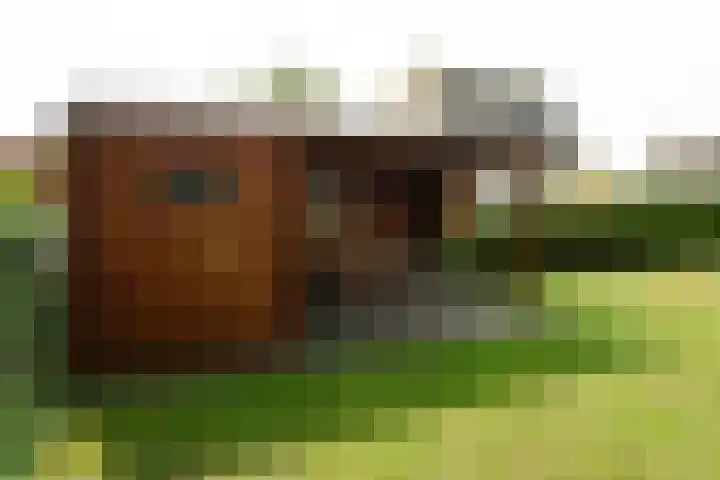 Strandslag 39 Julianadorp thumbnail 25