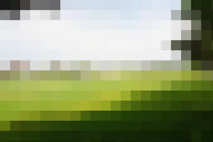 Strandslag 39 Julianadorp thumbnail 29