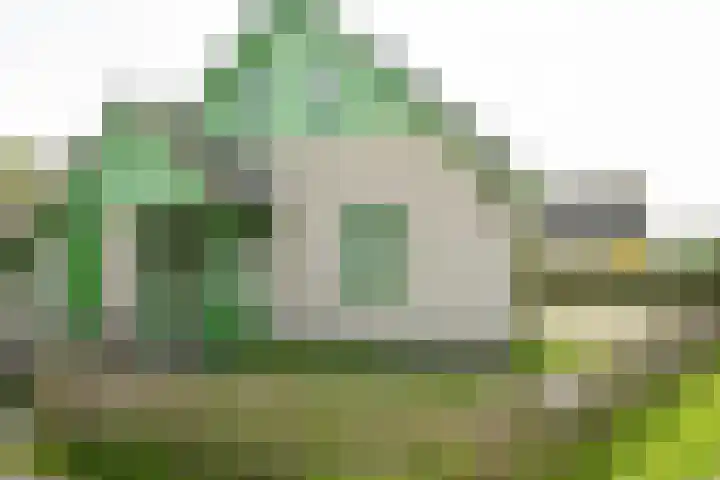 Strandslag 39 Julianadorp thumbnail 30