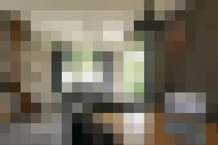 Strandslag 39 Julianadorp thumbnail 6