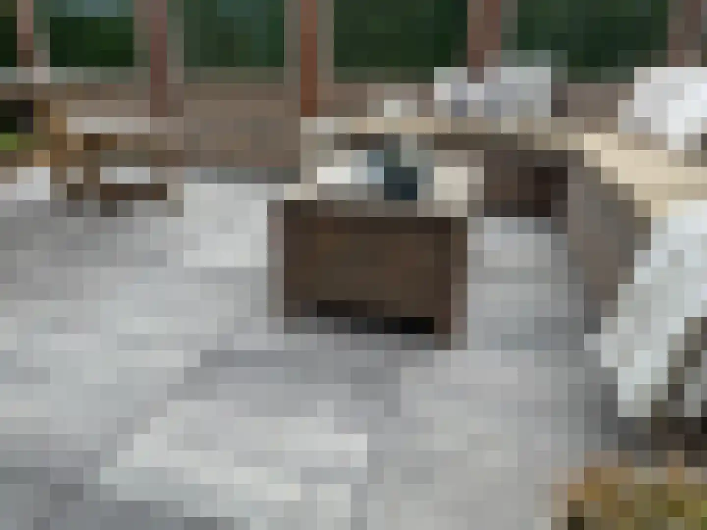 Strandslag 5 Julianadorp thumbnail 10