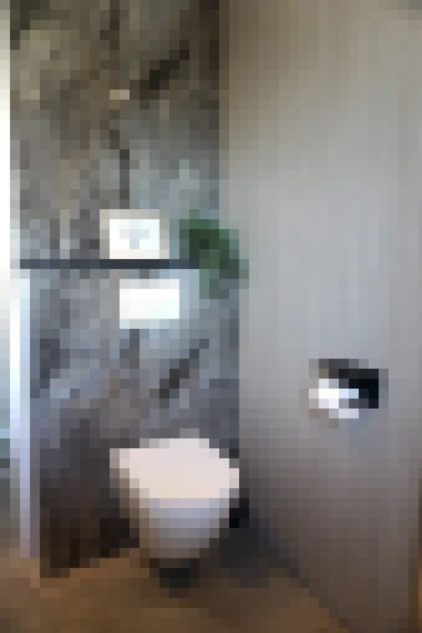 Strandslag 5 Julianadorp thumbnail 12