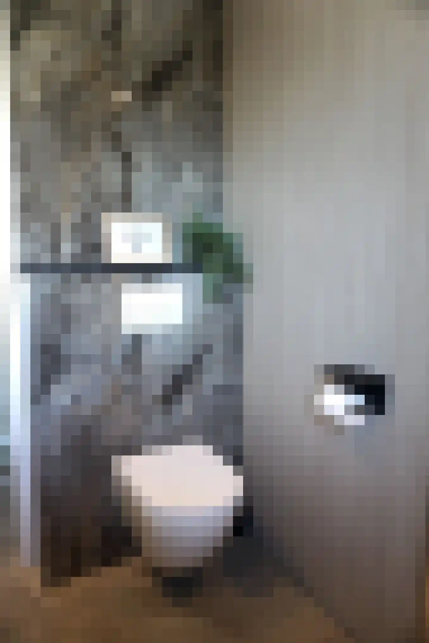 Strandslag 5 Julianadorp thumbnail 25