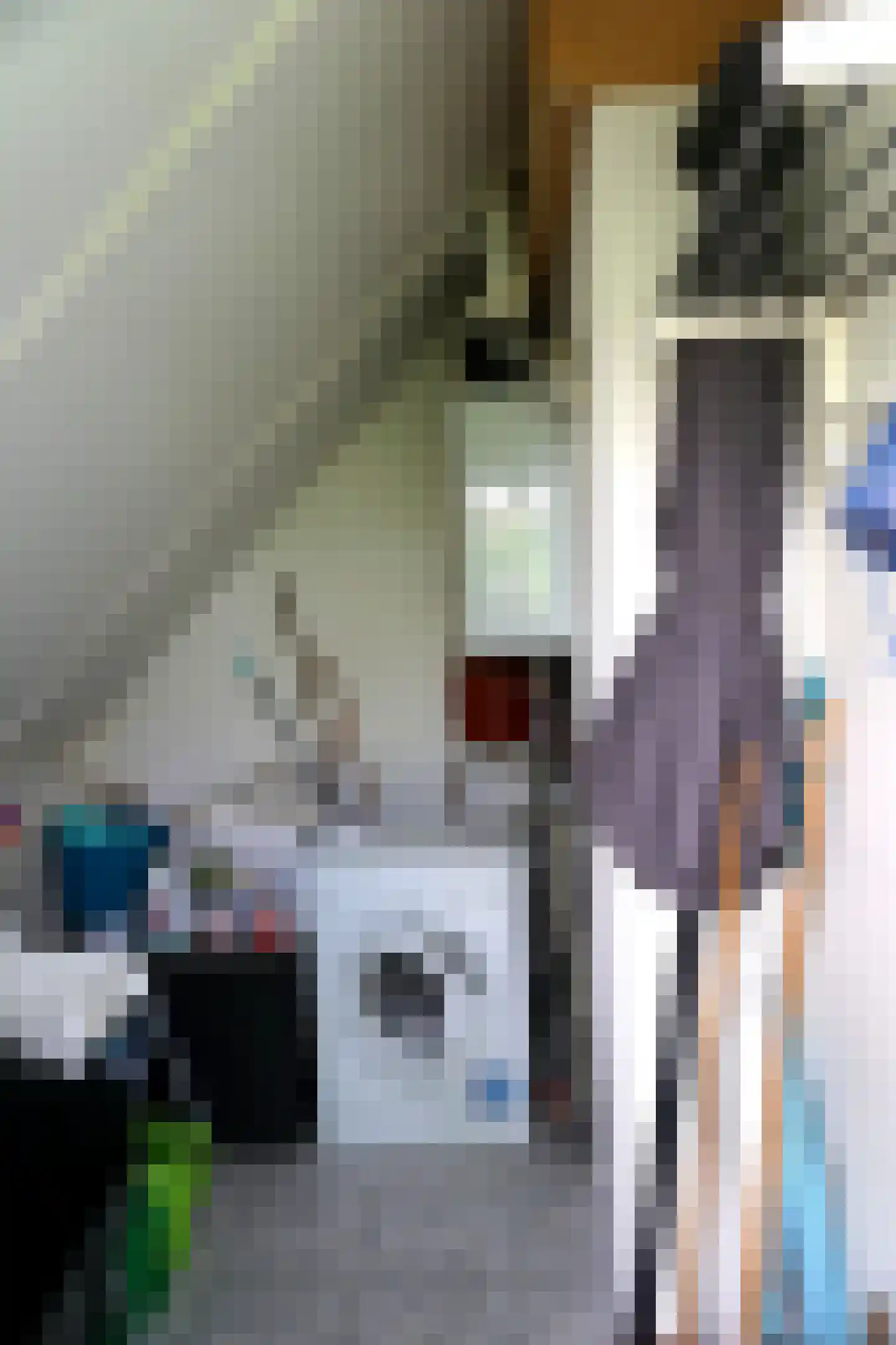 Strandslag 5 Julianadorp thumbnail 31