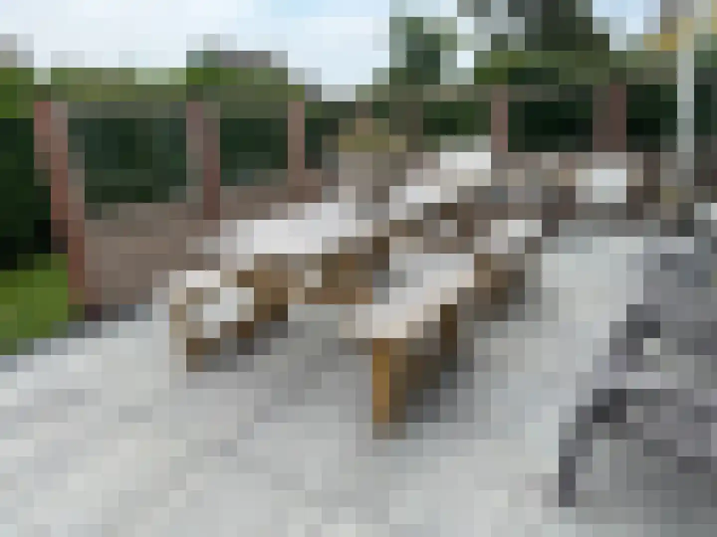 Strandslag 5 Julianadorp thumbnail 9