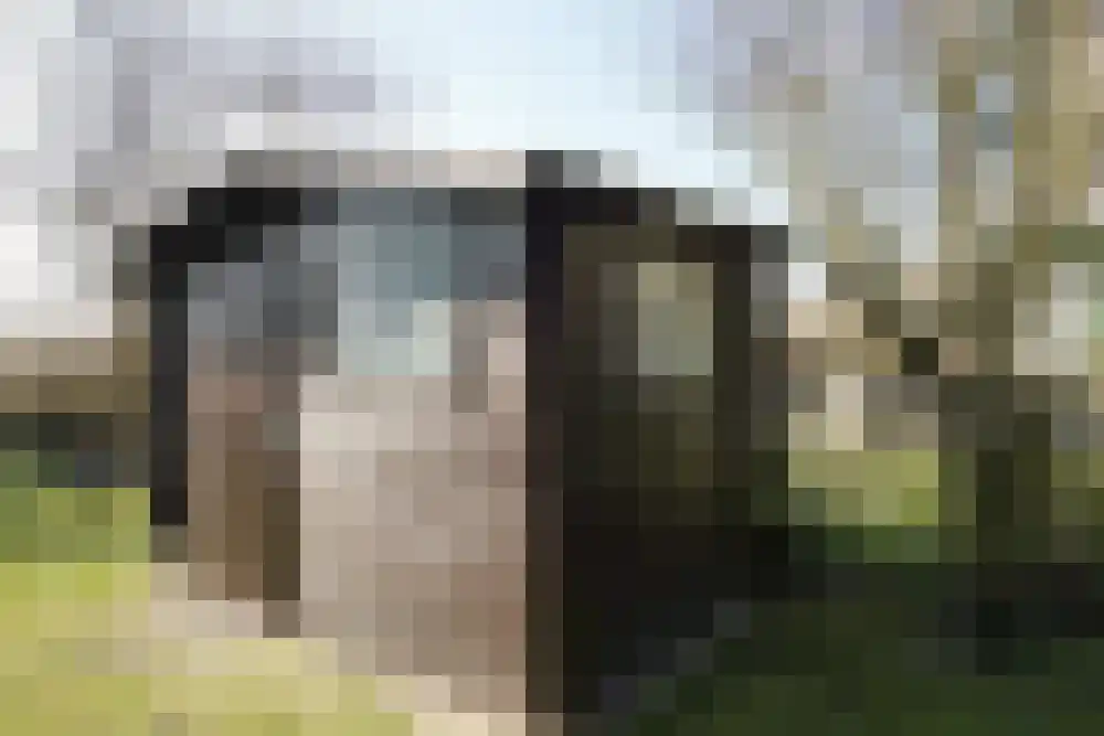 Strandslag 78 Julianadorp thumbnail 21