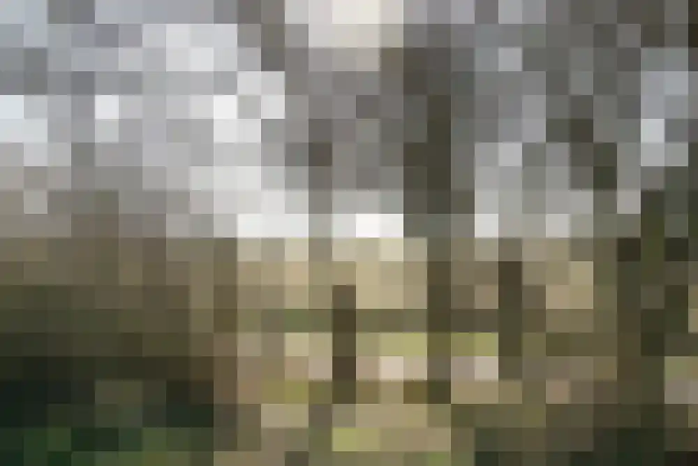 Strandslag 78 Julianadorp thumbnail 22