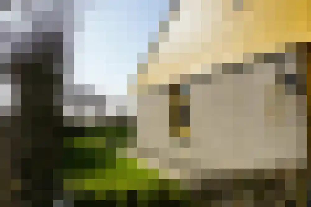 Strandslag 78 Julianadorp thumbnail 25