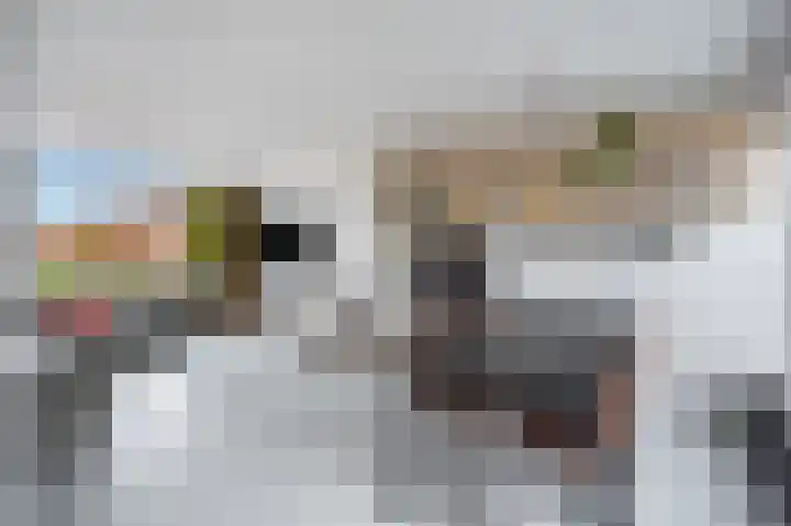 Strandvlietlaan 8 Ouderkerk aan de Amstel thumbnail 28