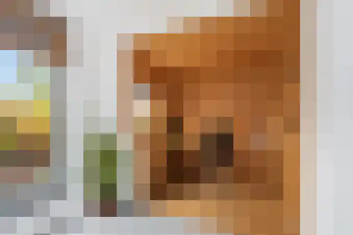 Strandvlietlaan 8 Ouderkerk aan de Amstel thumbnail 31