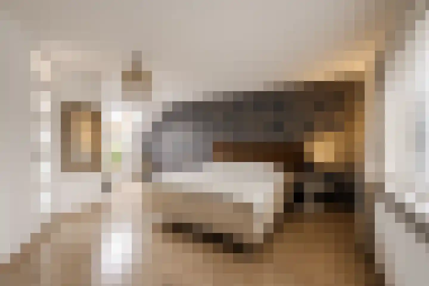 Strandwal 19 Haarlem thumbnail 27
