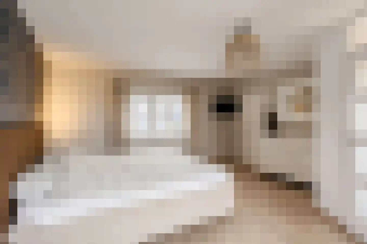 Strandwal 19 Haarlem thumbnail 29