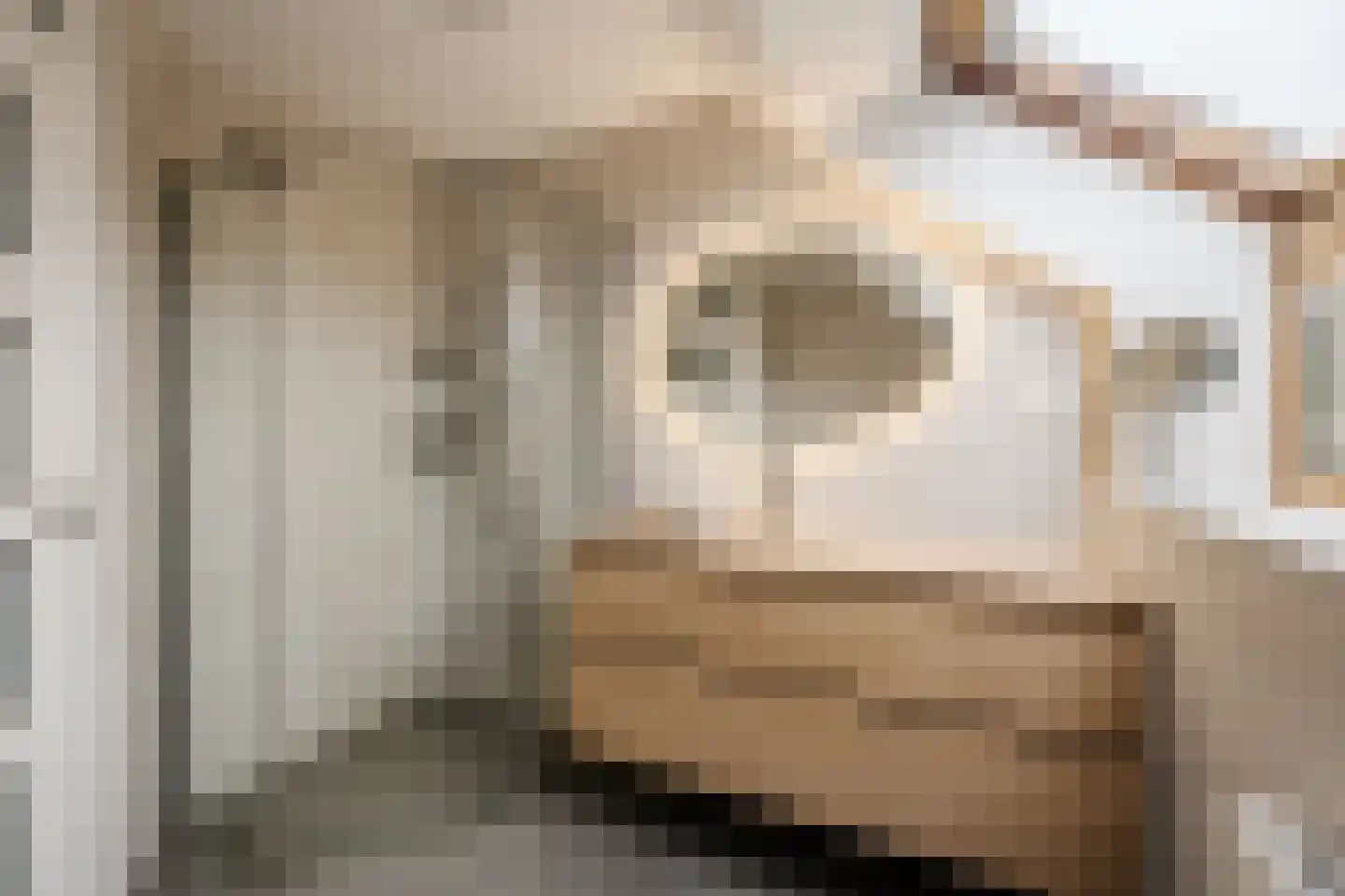 Strandwal 19 Haarlem thumbnail 31