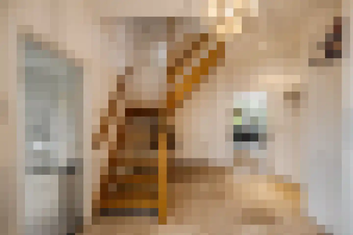 Strandwal 19 Haarlem thumbnail 5