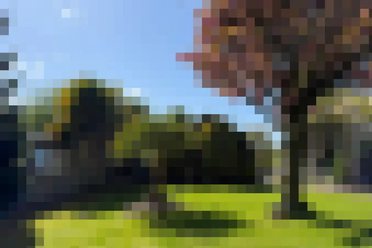 Strandwal 19 Haarlem thumbnail 57