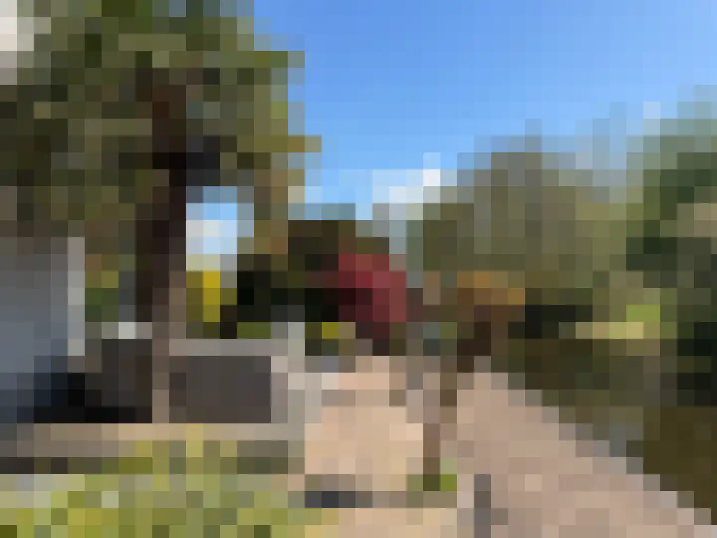Strandwal 19 Haarlem thumbnail 58
