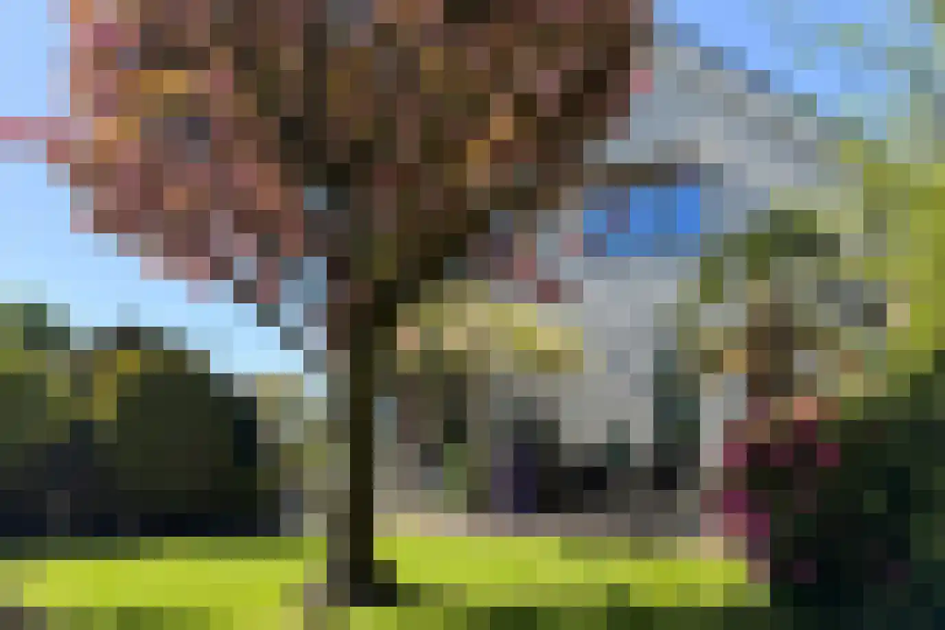 Strandwal 19 Haarlem thumbnail 59
