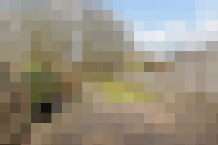 Strandwal 41 Wassenaar thumbnail 22
