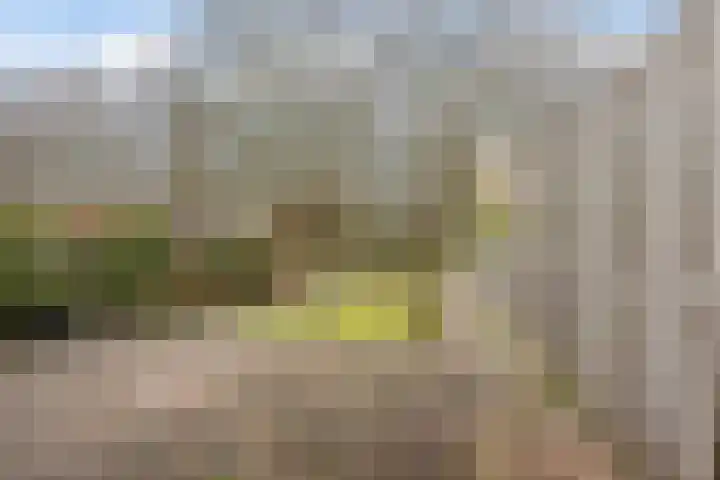 Strandwal 41 Wassenaar thumbnail 23