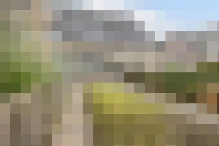 Strandwal 41 Wassenaar thumbnail 24