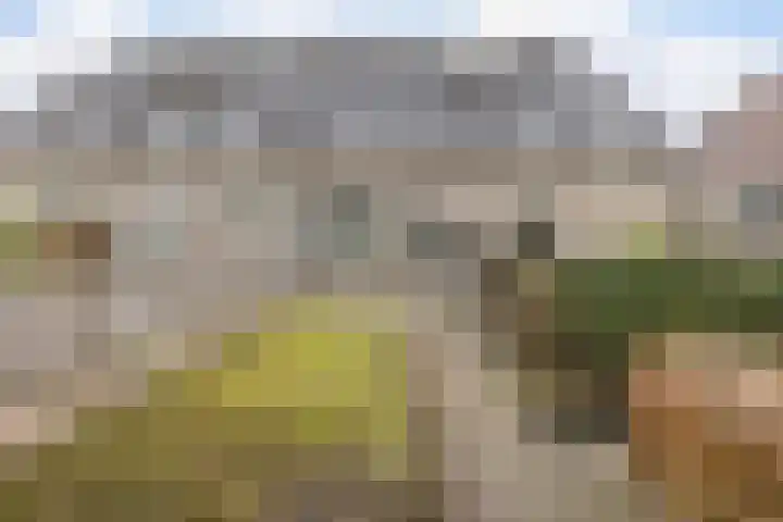 Strandwal 41 Wassenaar thumbnail 25