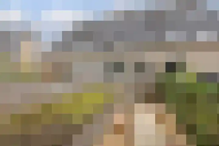 Strandwal 41 Wassenaar thumbnail 26