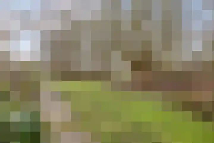 Strandwal 41 Wassenaar thumbnail 27