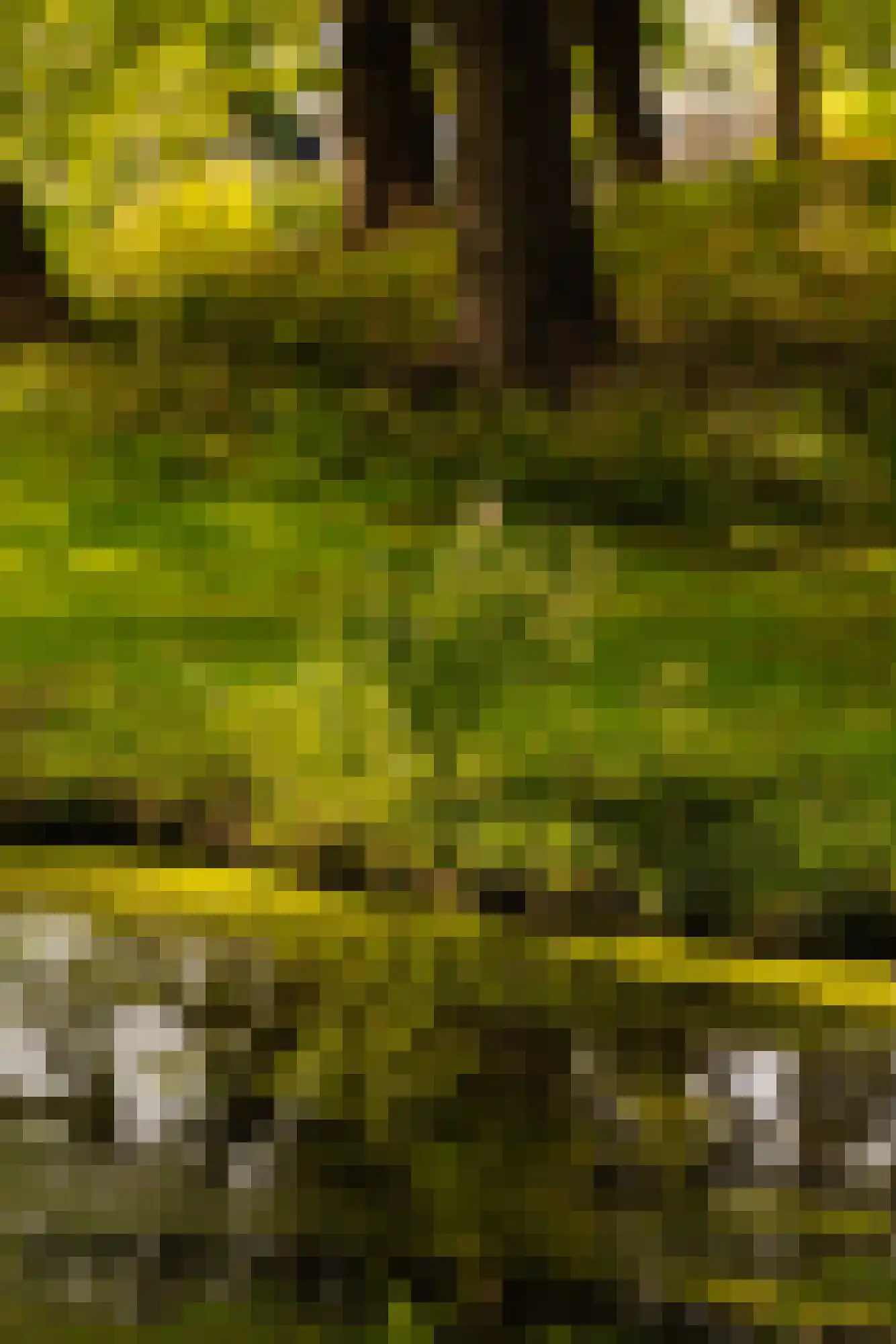 Strandwal 57 Wassenaar thumbnail 31