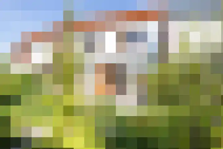 Strandwal 64 Vlissingen thumbnail 23