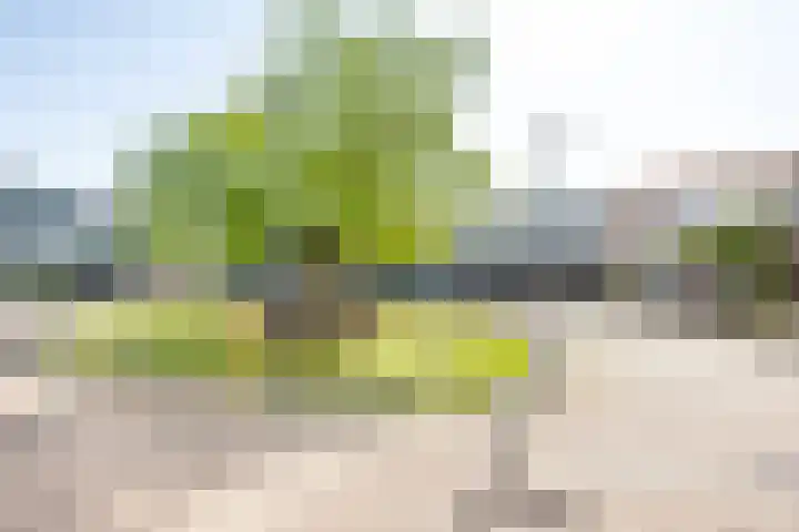 Strandwal 64 Vlissingen thumbnail 4