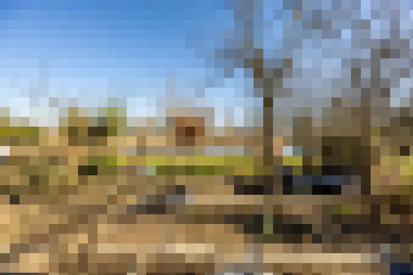 Strandwal 7 Haarlem thumbnail 25