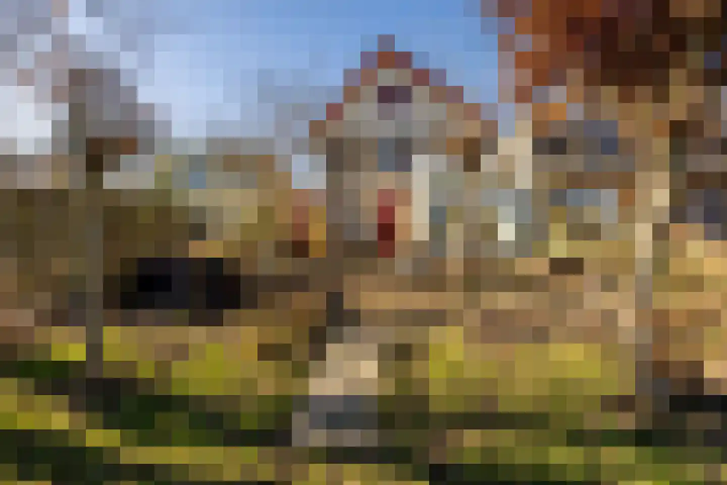 Strandwal 7 Haarlem thumbnail 26