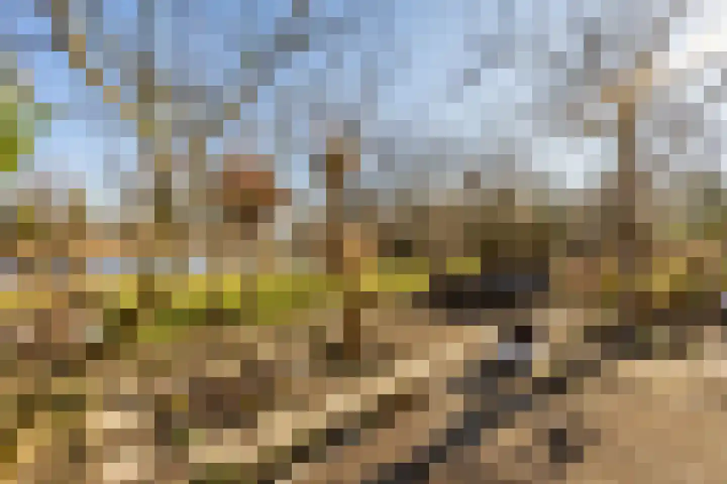 Strandwal 7 Haarlem thumbnail 28