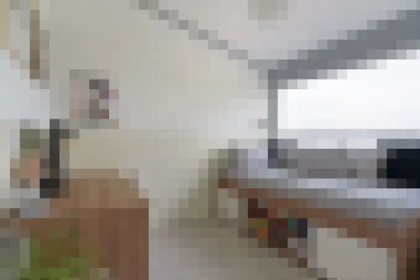 Strandwal 77 Vlissingen thumbnail 21