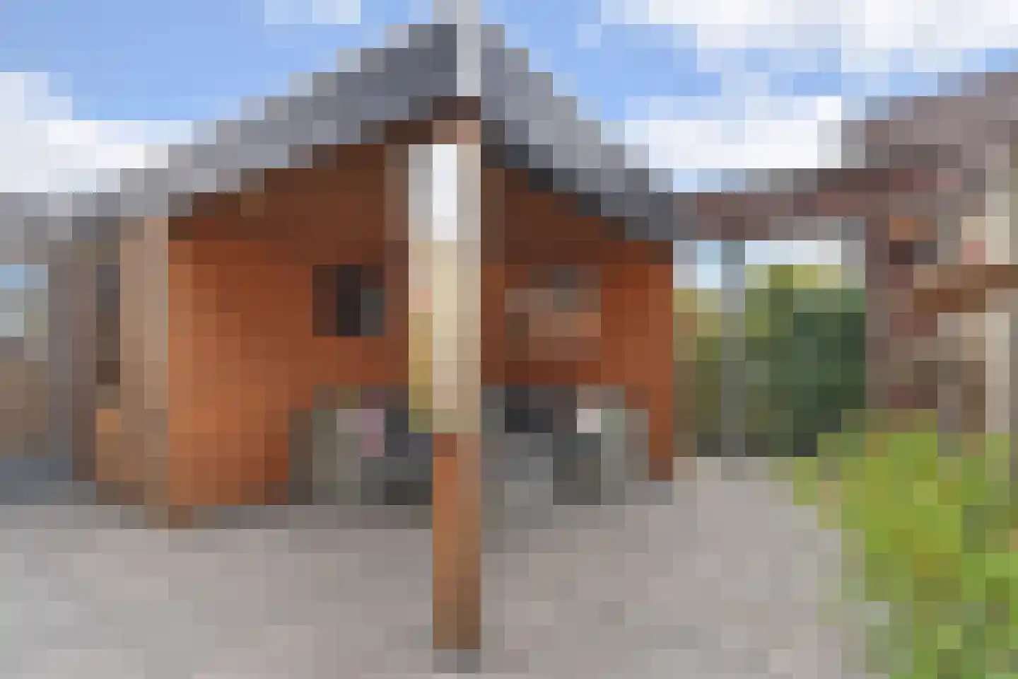 Strandwal 77 Vlissingen thumbnail 34